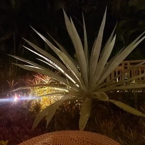 Meet your Posher, Steve